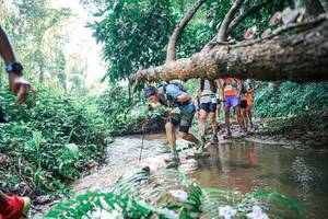 BIB: 
                            <button type="button" onclick="openModal(25458422)" class="btn btn-primary btn-sm float-right btn-popup" data-toggle="modal" data-target=".modal-high-quality">
                        <i class="fas fa-shopping-cart"></i> Add to Cart
                    </button>
                                            <button type="button" onclick="isThisMe(25458422, true)" class="btn btn-success btn-sm float-right btn-popup btn-isme hidden" data-toggle="tooltip" data-placement="bottom" title="นี่คือรูปของคุณใช่ไหม คลิกที่นี่เพื่อเอาเข้าอัลบั้ม">
                        <i class="fas fa-plus"></i> Add to album
                    </button>
                    <button type="button" onclick="isThisMe(25458422, false)" class="btn btn-warning btn-sm float-right btn-popup btn-isnotme hidden">
                        <i class="fas fa-ban"></i> Remove from album
                    </button>